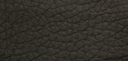 Schwarz Leder