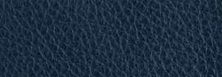 Lord Blue 9210