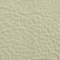 Beige 2500